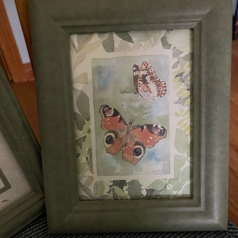 Green Framed Butterfly Art Print
